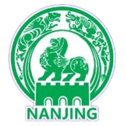 南京队队标,南京队图片