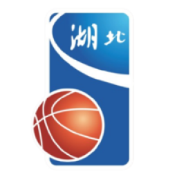 湖北全运男篮队标,湖北全运男篮图片