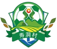 寿洞村队标,寿洞村图片